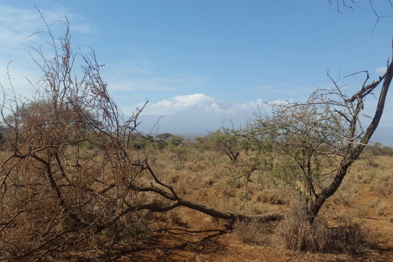 60 acres land for sale Kimana, Amboseli. FIT PROPERTY