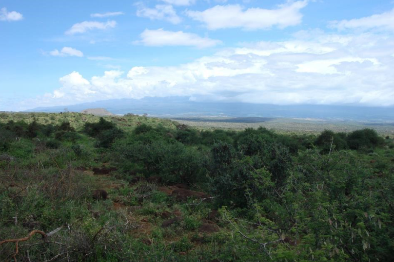 60 acres land for sale Kimana, Amboseli. FIT PROPERTY