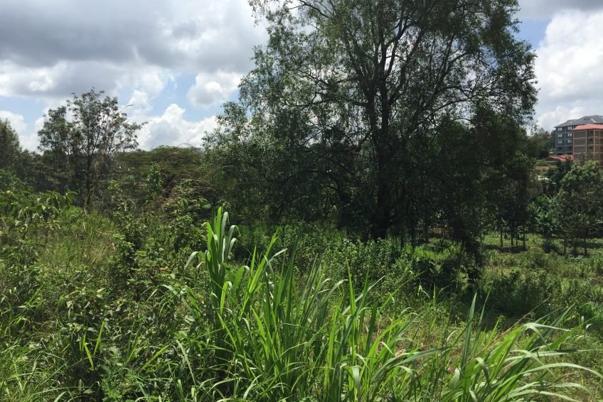 Prime Plot for Sale Along Kiambu Road from KES 50M.