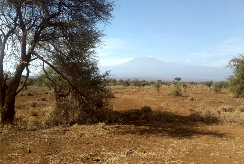 60 acres land for sale Kimana, Amboseli. FIT PROPERTY