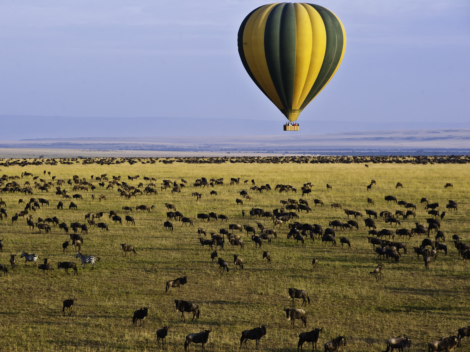 Exclusive Luxury Safari Camp and Conservancy for Sale. , a 5,000-acre conservancy and a horse riding operation. FIT PROPERTY