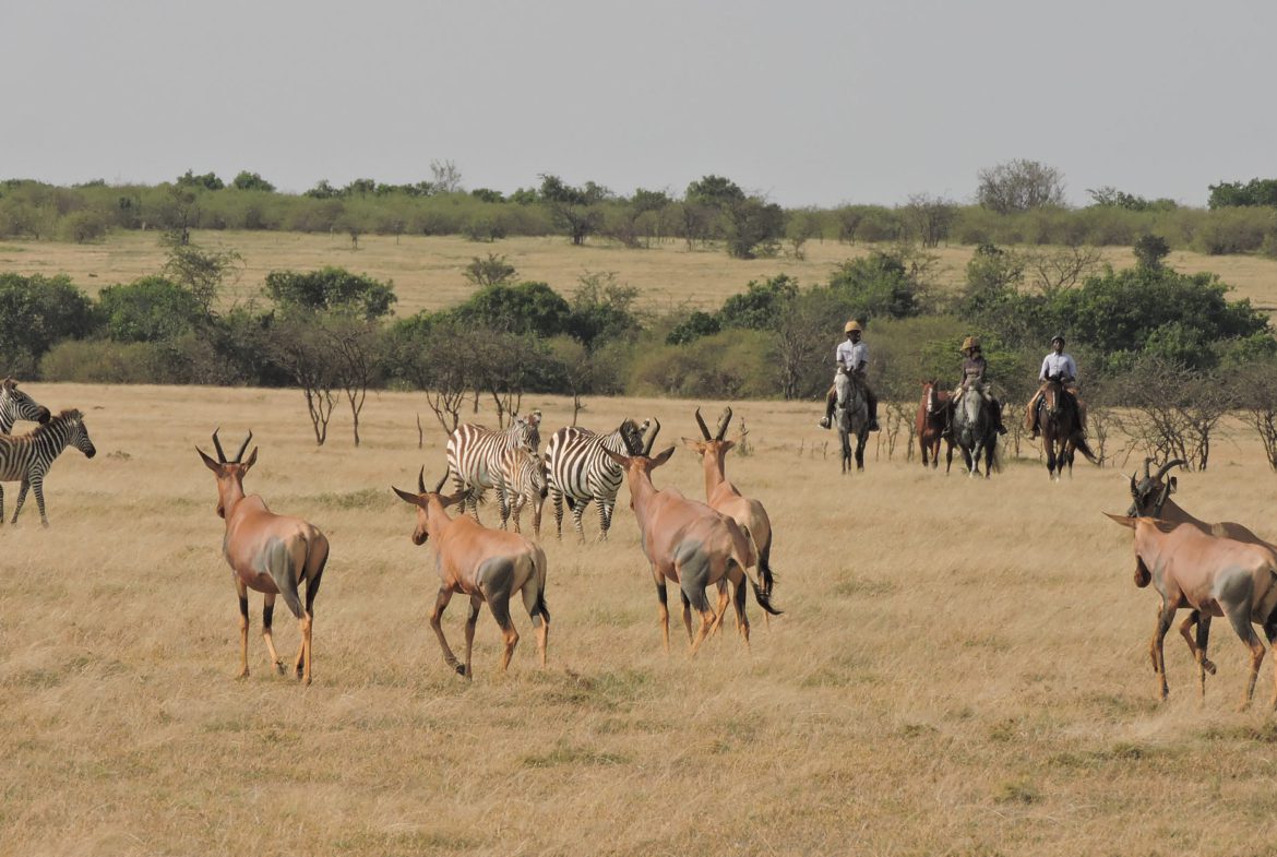 Exclusive Luxury Safari Camp and Conservancy for Sale. , a 5,000-acre conservancy and a horse riding operation. FIT PROPERTY