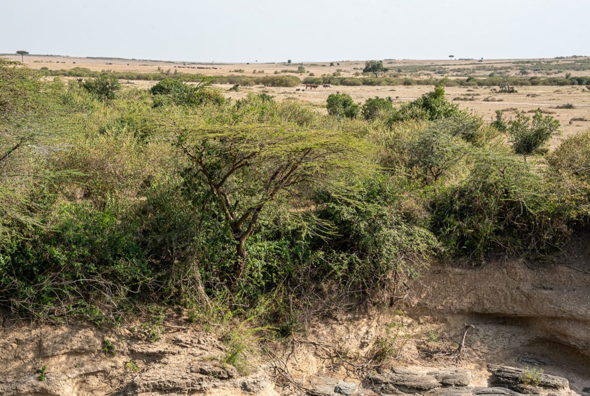 Exclusive Luxury Safari Camp for Sale in Maasai Mara. Along Talek River on a sprawling 10-acre property, the camp features 14 luxury . FIT Property