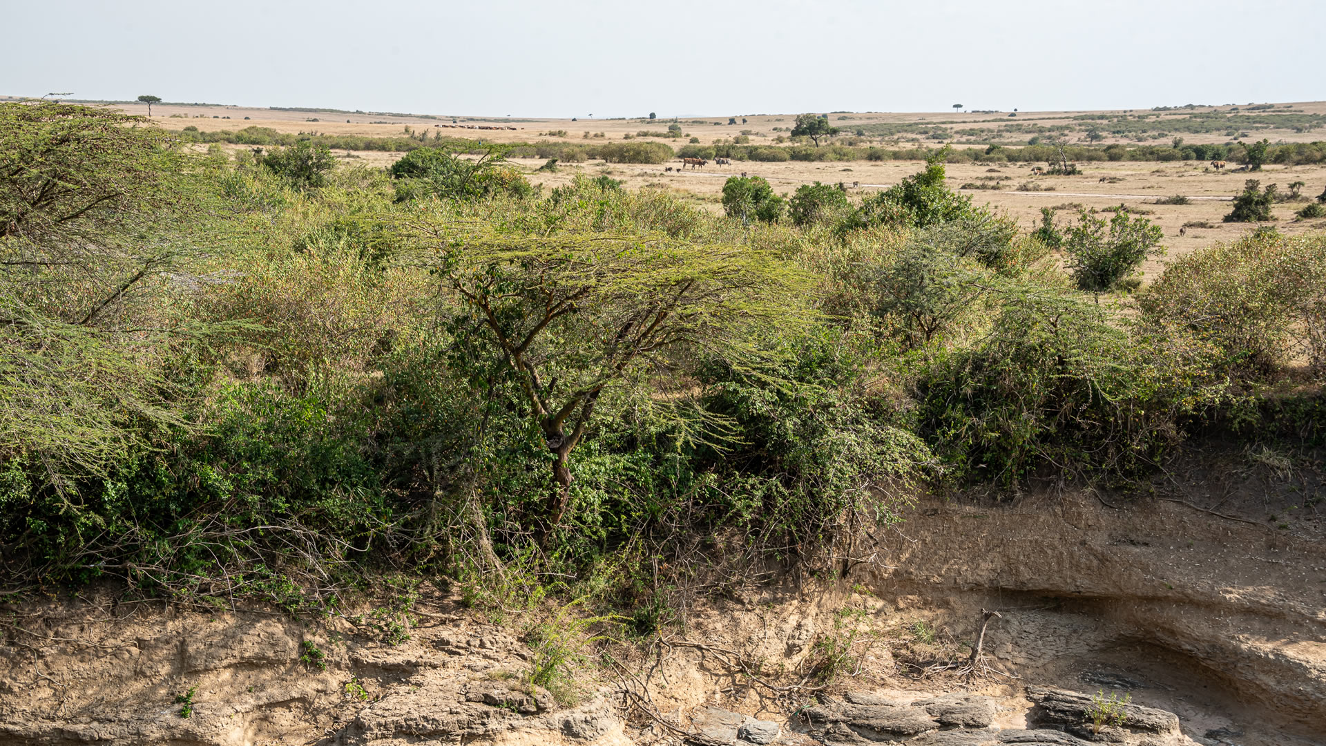 Exclusive Luxury Safari Camp for Sale in Maasai Mara. Along Talek River on a sprawling 10-acre property, the camp features 14 luxury . FIT Property