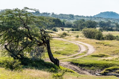 Exclusive Luxury Safari Camp and Conservancy for Sale. , a 5,000-acre conservancy and a horse riding operation. FIT PROPERTY